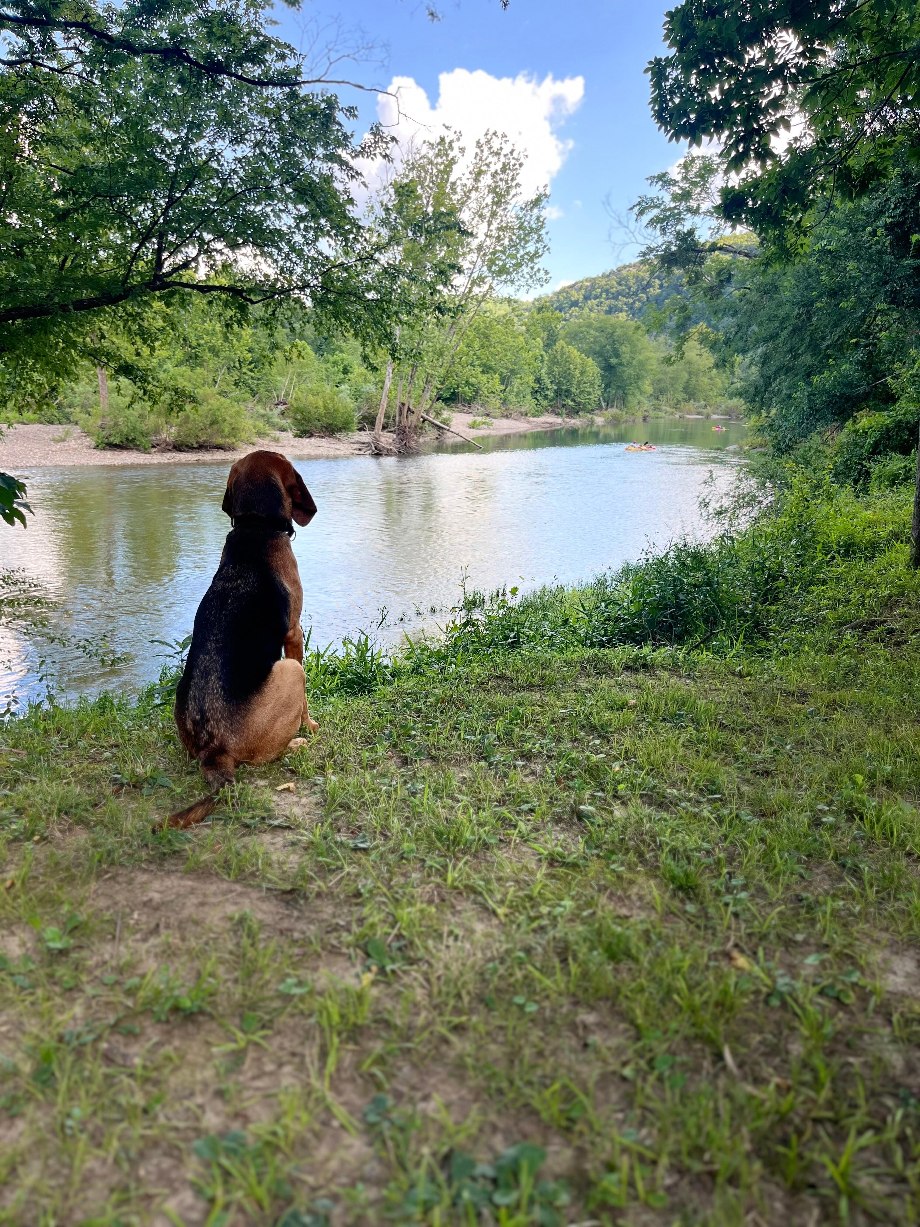 Lou watching the kayakers