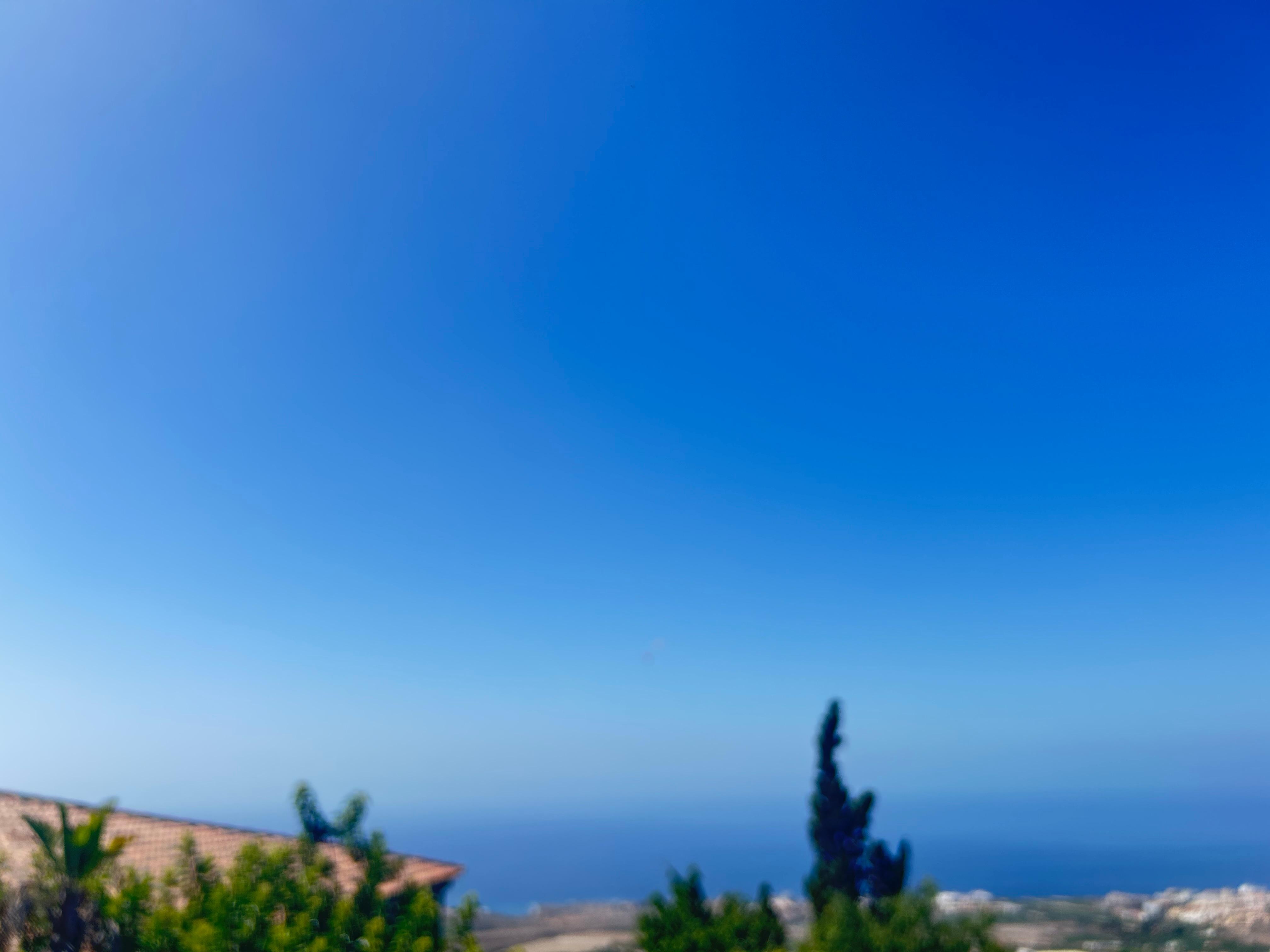 What a lovely sea view 