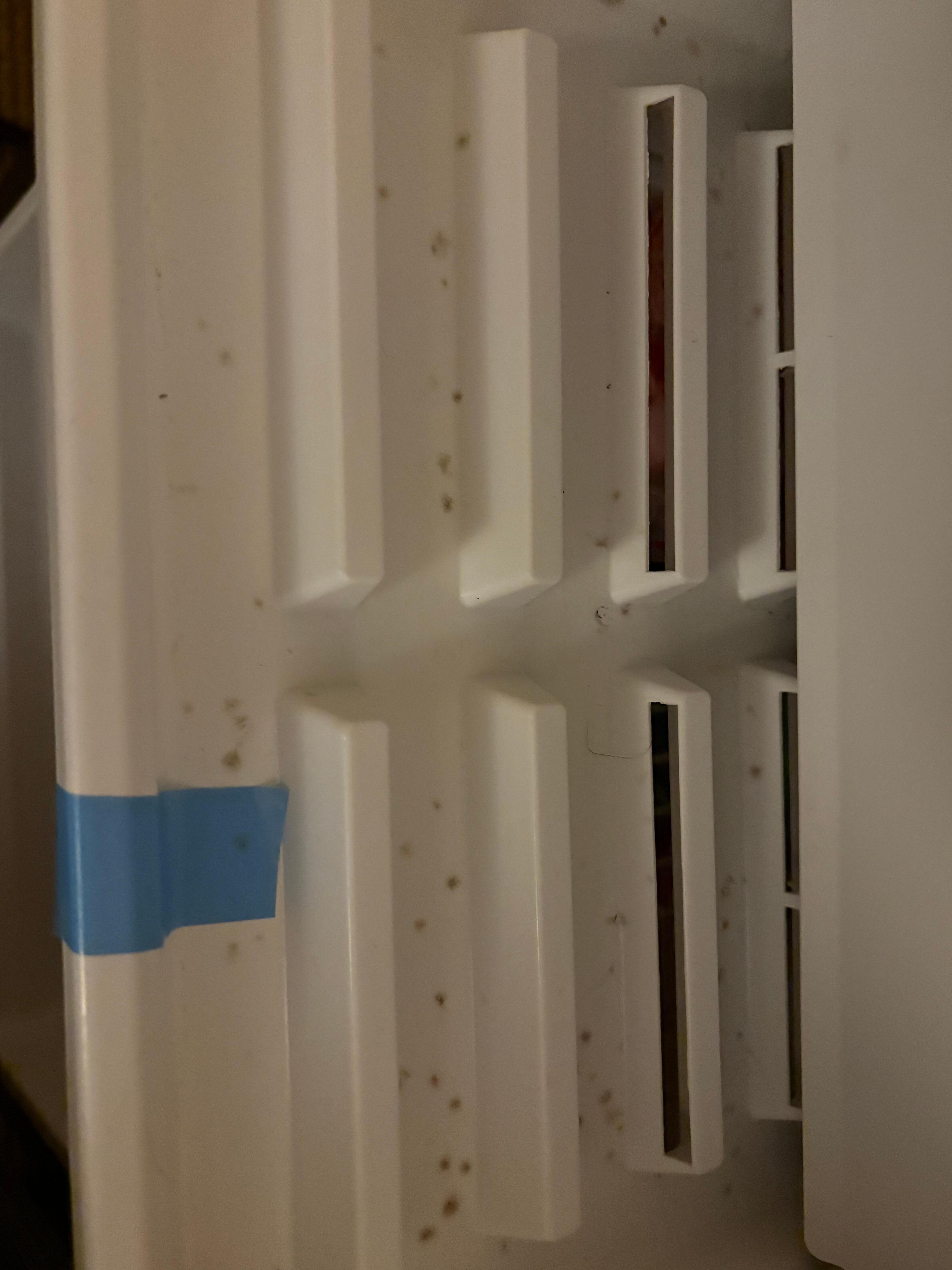 Mould in fridge freezer tray 