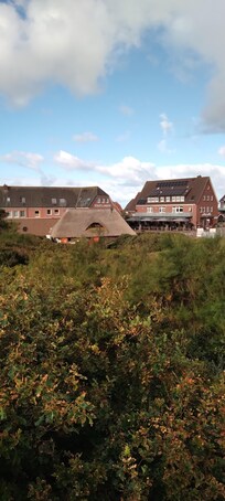 Blick aus dem Wohnzimmer