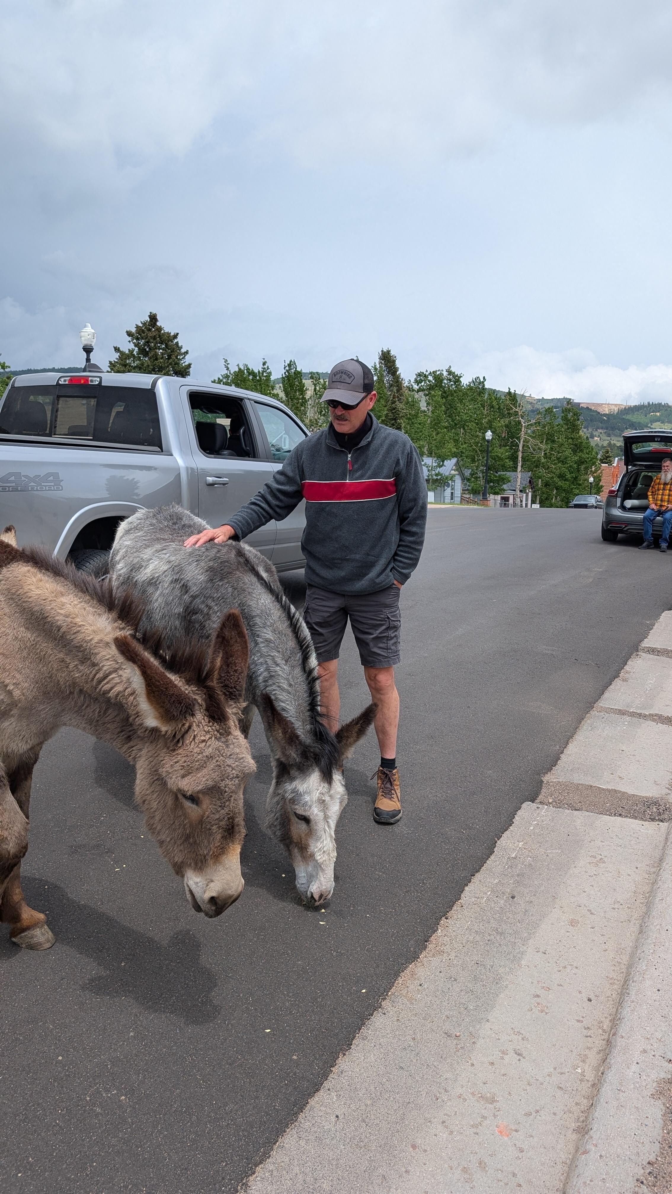Cripple Creek donkeys