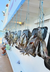 1/2 day fishing trip on the Carolina Princess.