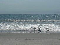 Calming waves