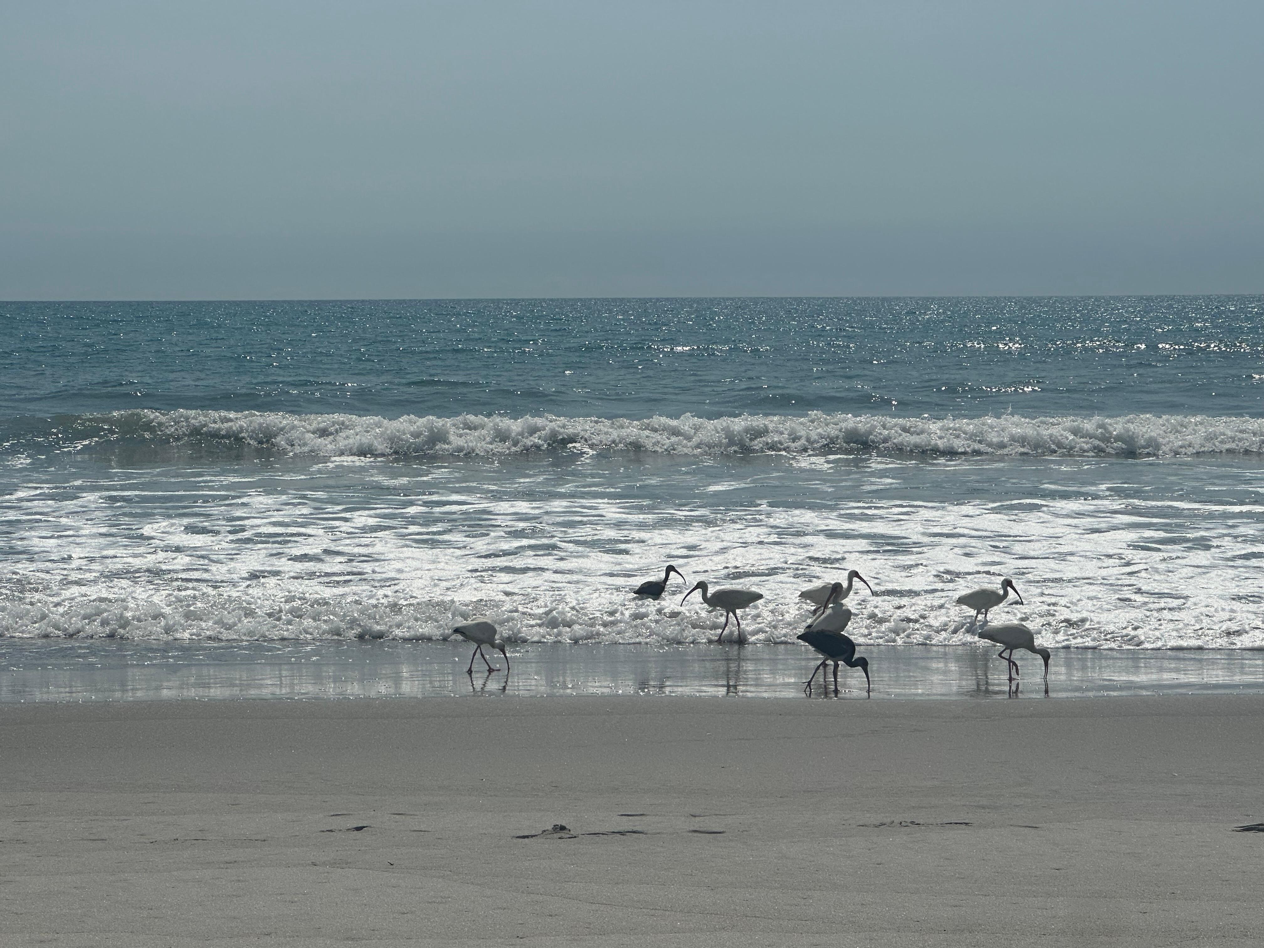 Calming waves