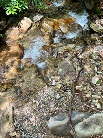 The creek was wonderful and had the most beautiful sound