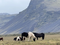 Beautiful location with horses in the next property.