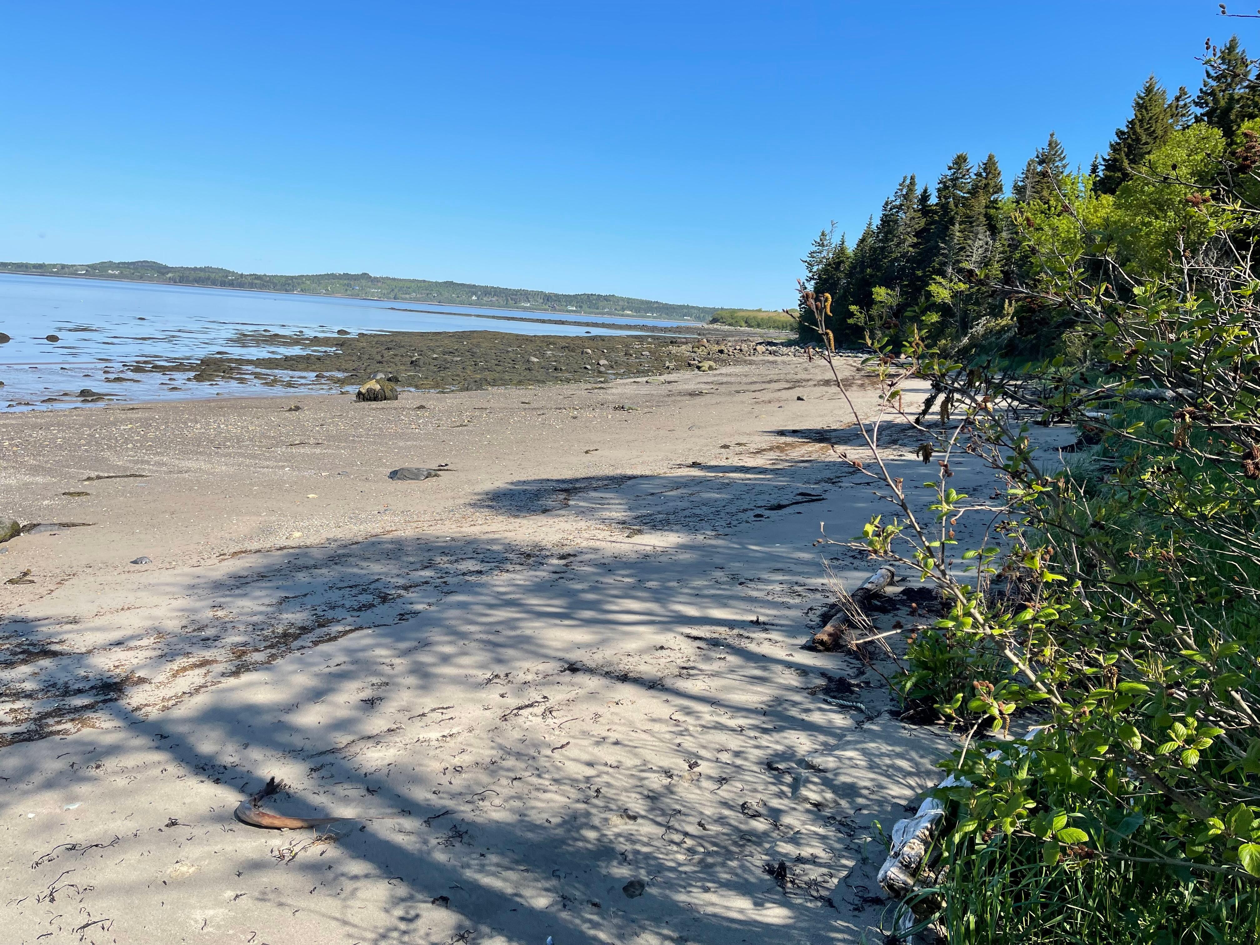 Very private beach.