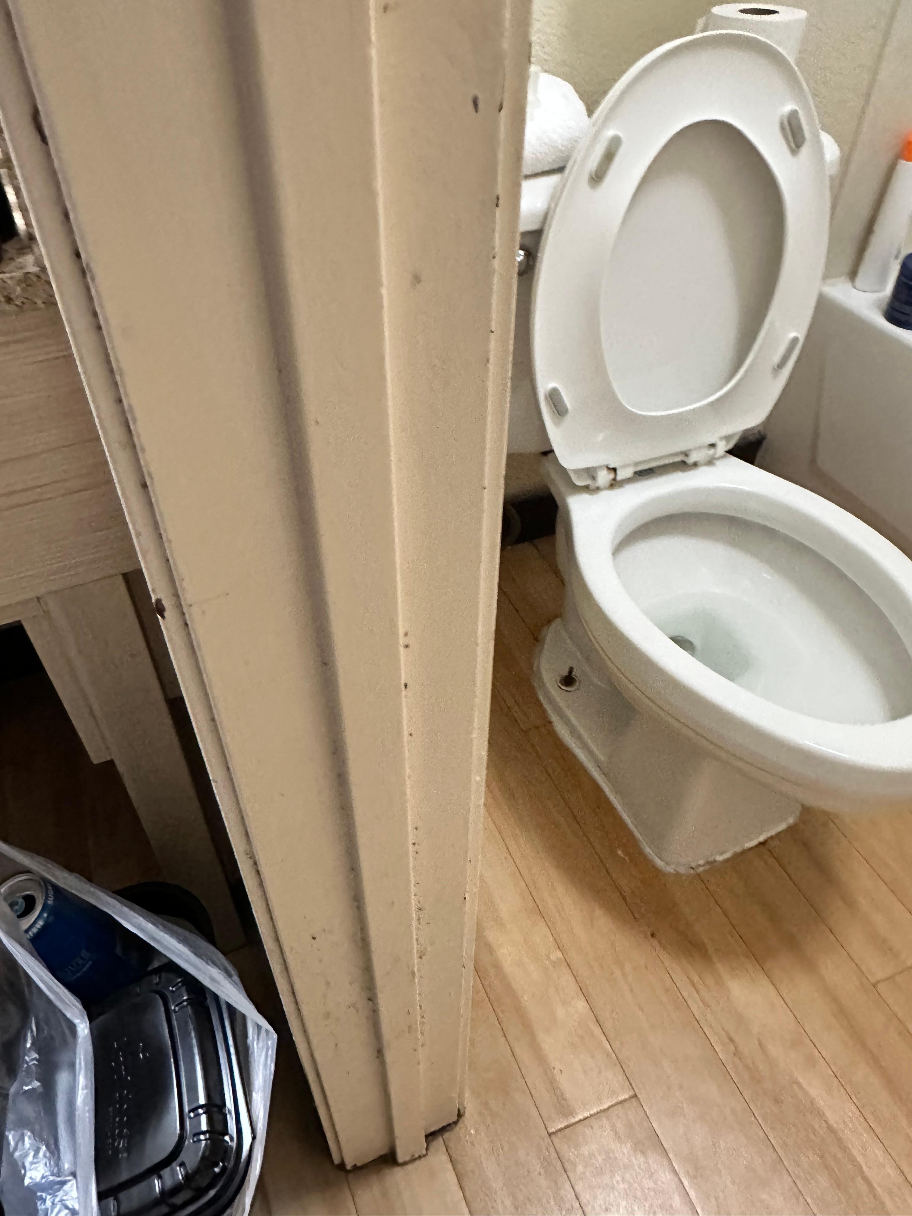 I sprayed the toilet with Lysol and used toilet paper on the seat, could sit down and use it.