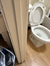 I sprayed the toilet with Lysol and used toilet paper on the seat, could sit down and use it.