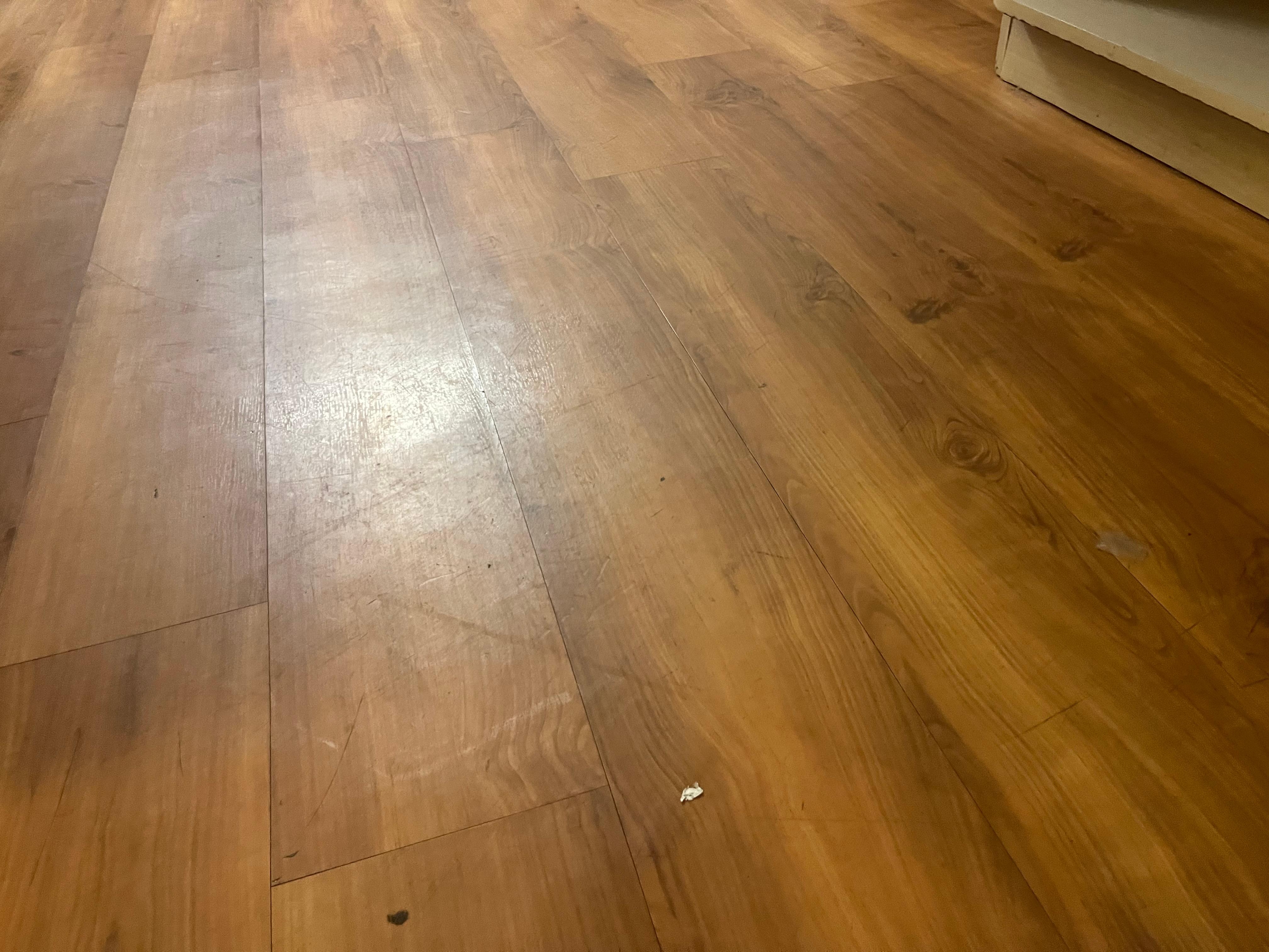 Didn’t even bother to broom the freaking floor