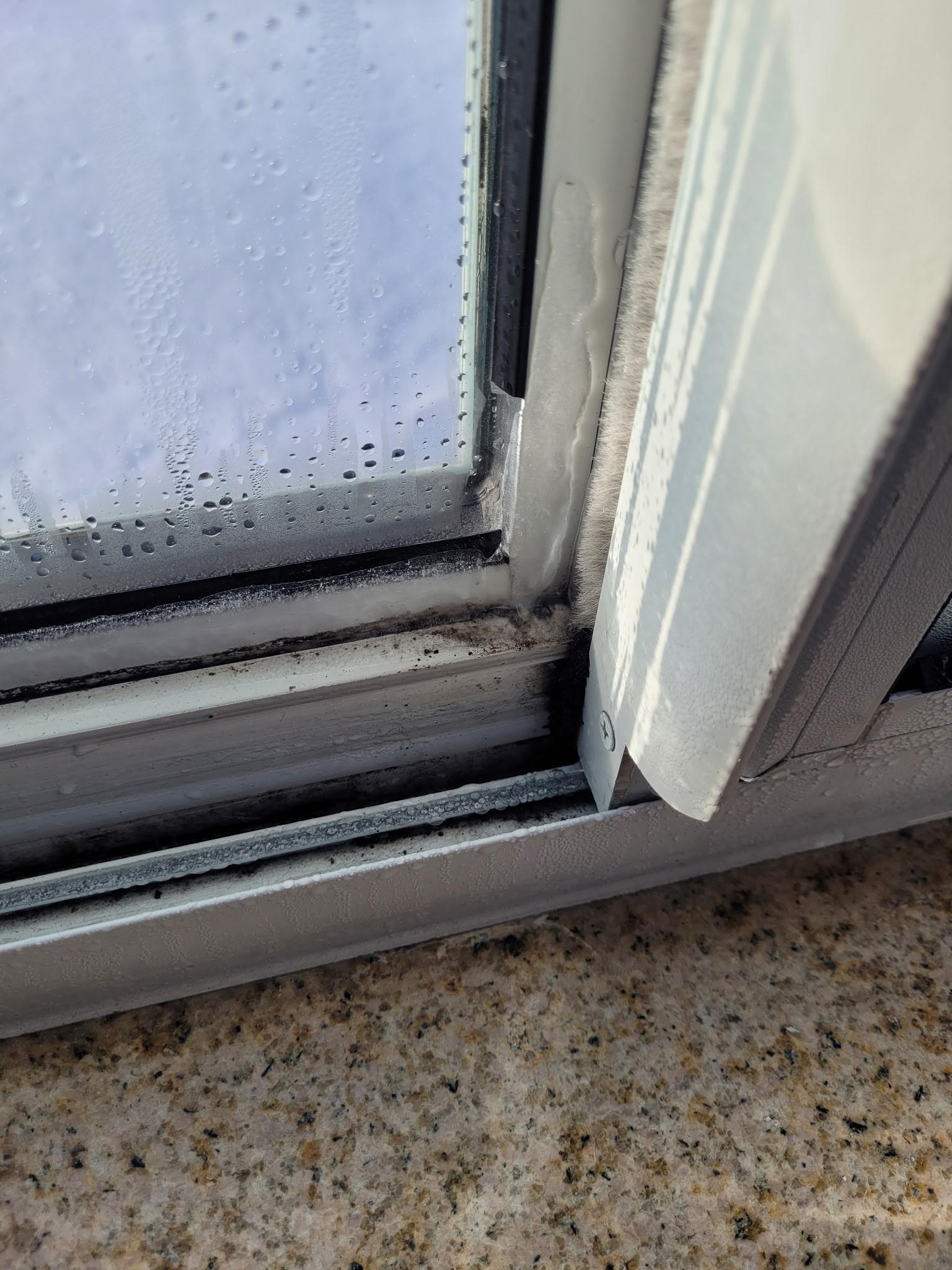 Mold on window