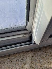 Mold on window