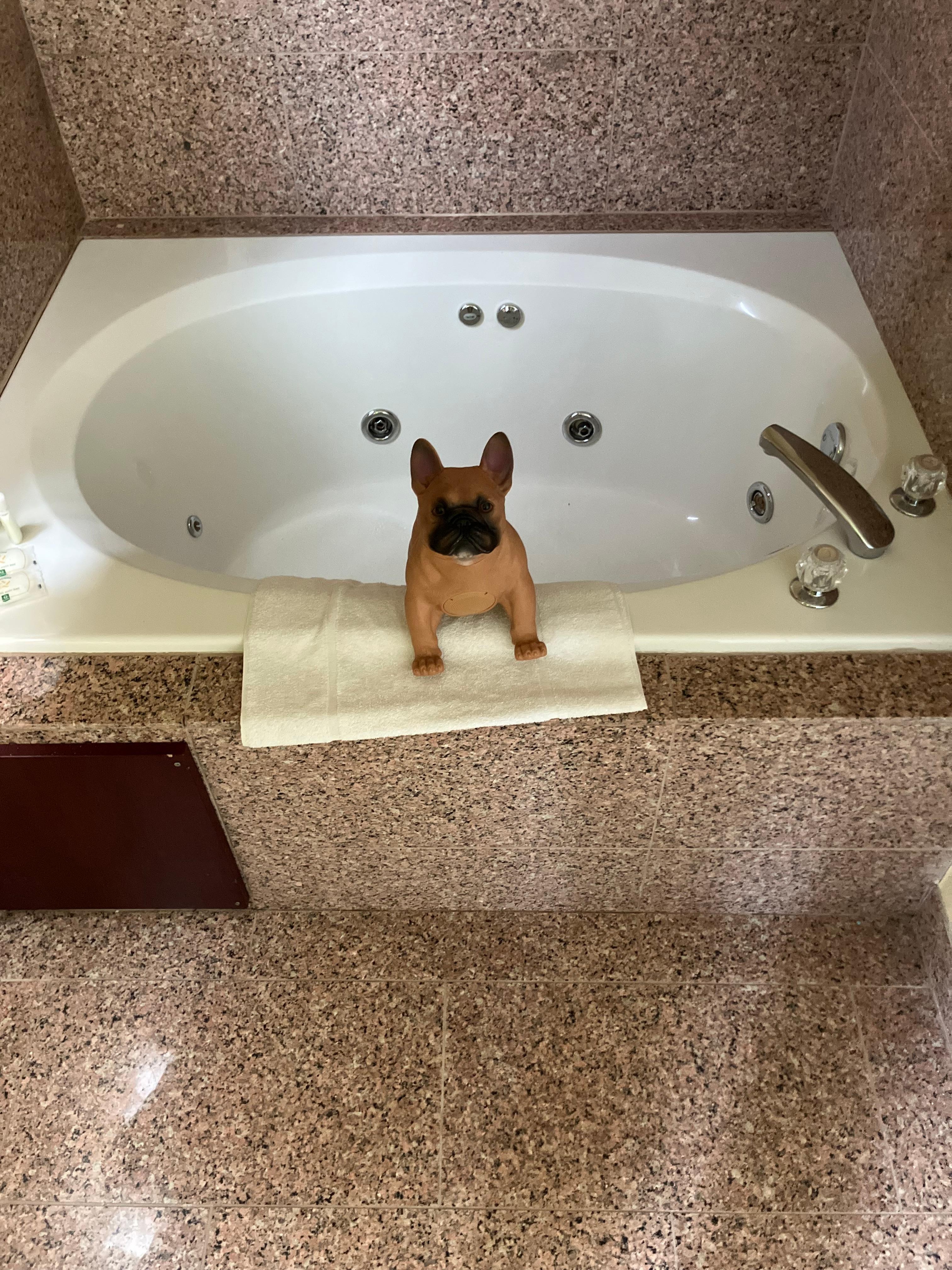 My pet DOG WOOF umm he’s a WIFI SPEAKER n FM STEREO RADIO N MICROPHONE HE DONT EAT MUCH AND HE DOES NOT BITE LOL