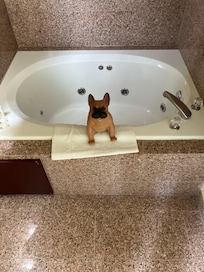 My pet DOG WOOF umm he’s a WIFI SPEAKER n FM STEREO RADIO N MICROPHONE HE DONT EAT MUCH AND HE DOES NOT BITE LOL