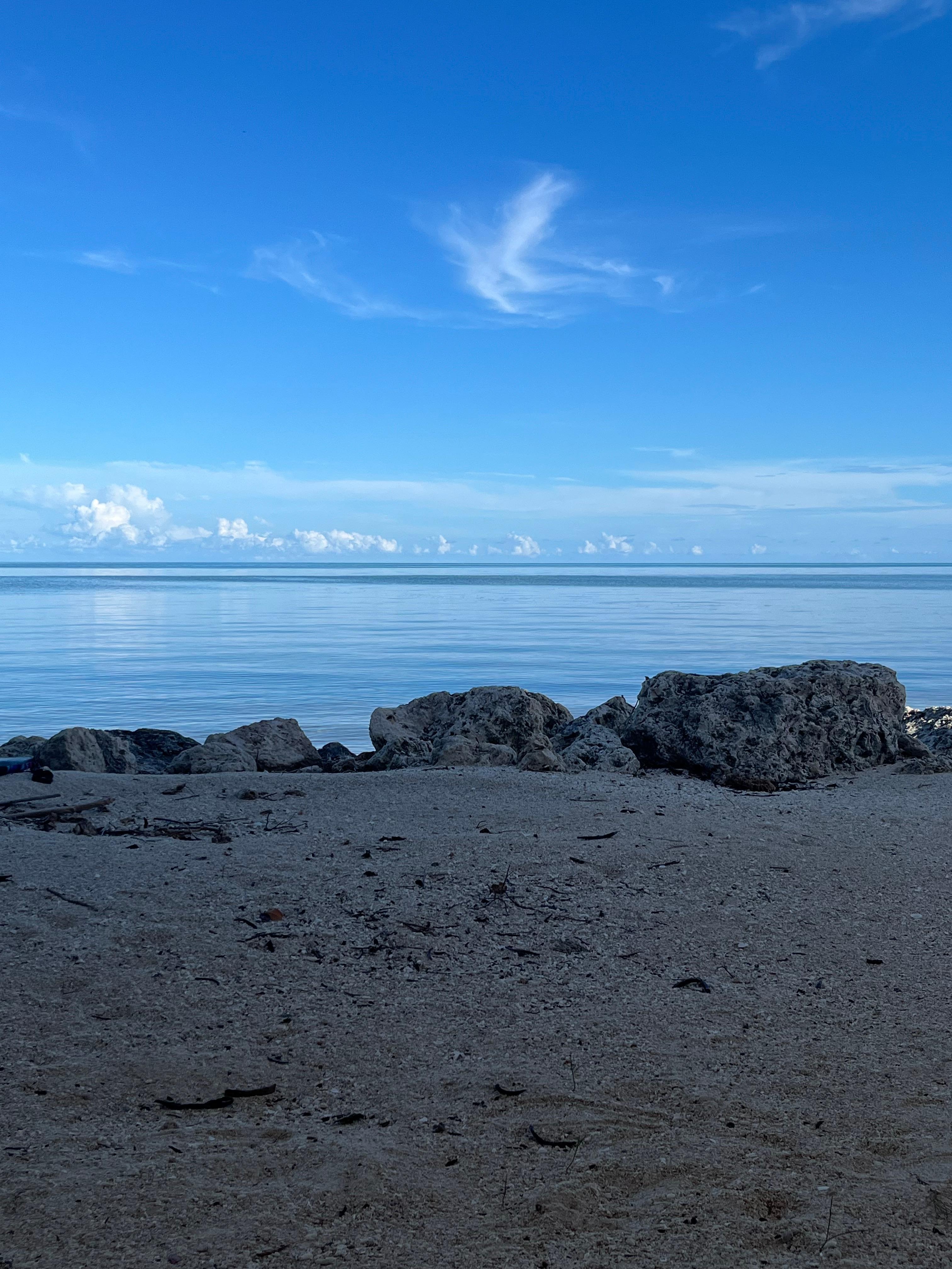 View sitting under the house