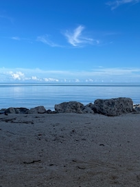 View sitting under the house