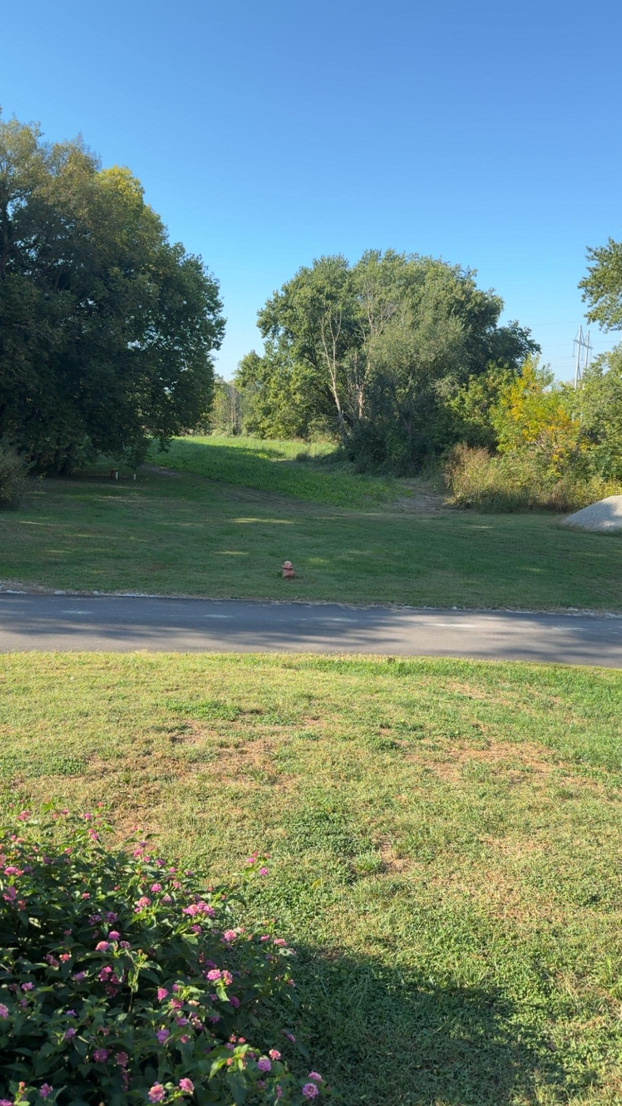 The view from the porch 