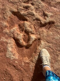 Dino tracks nearby