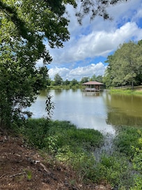 Coosa River view