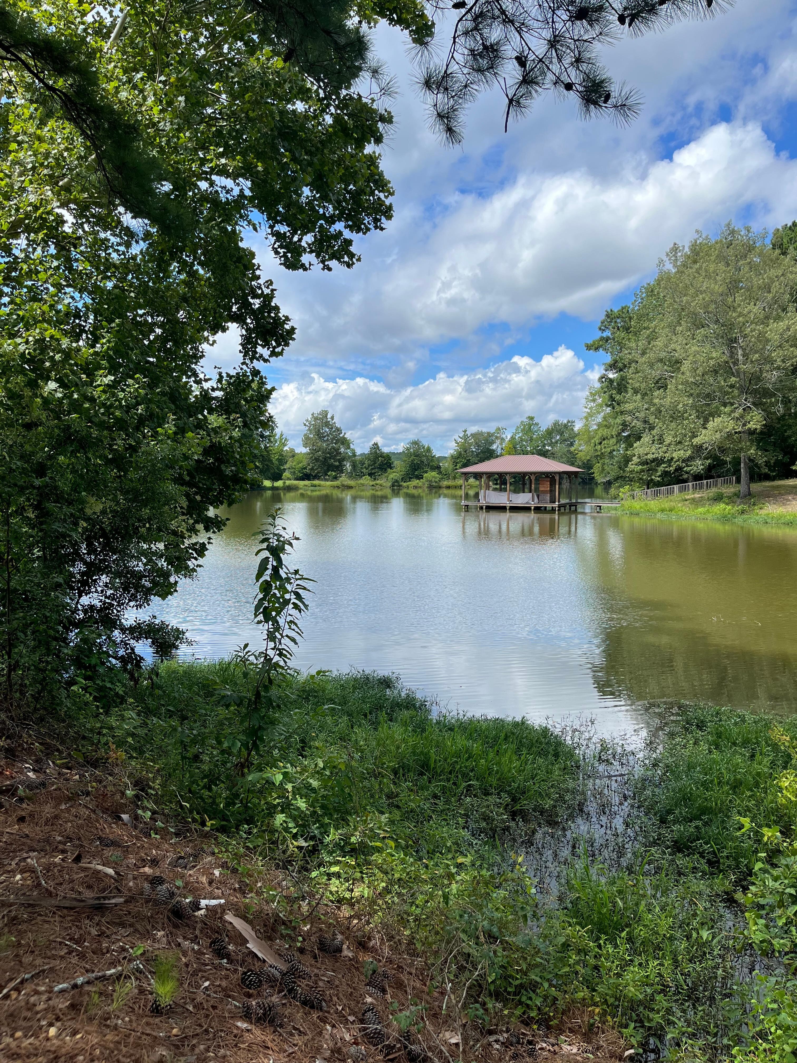 Coosa River view