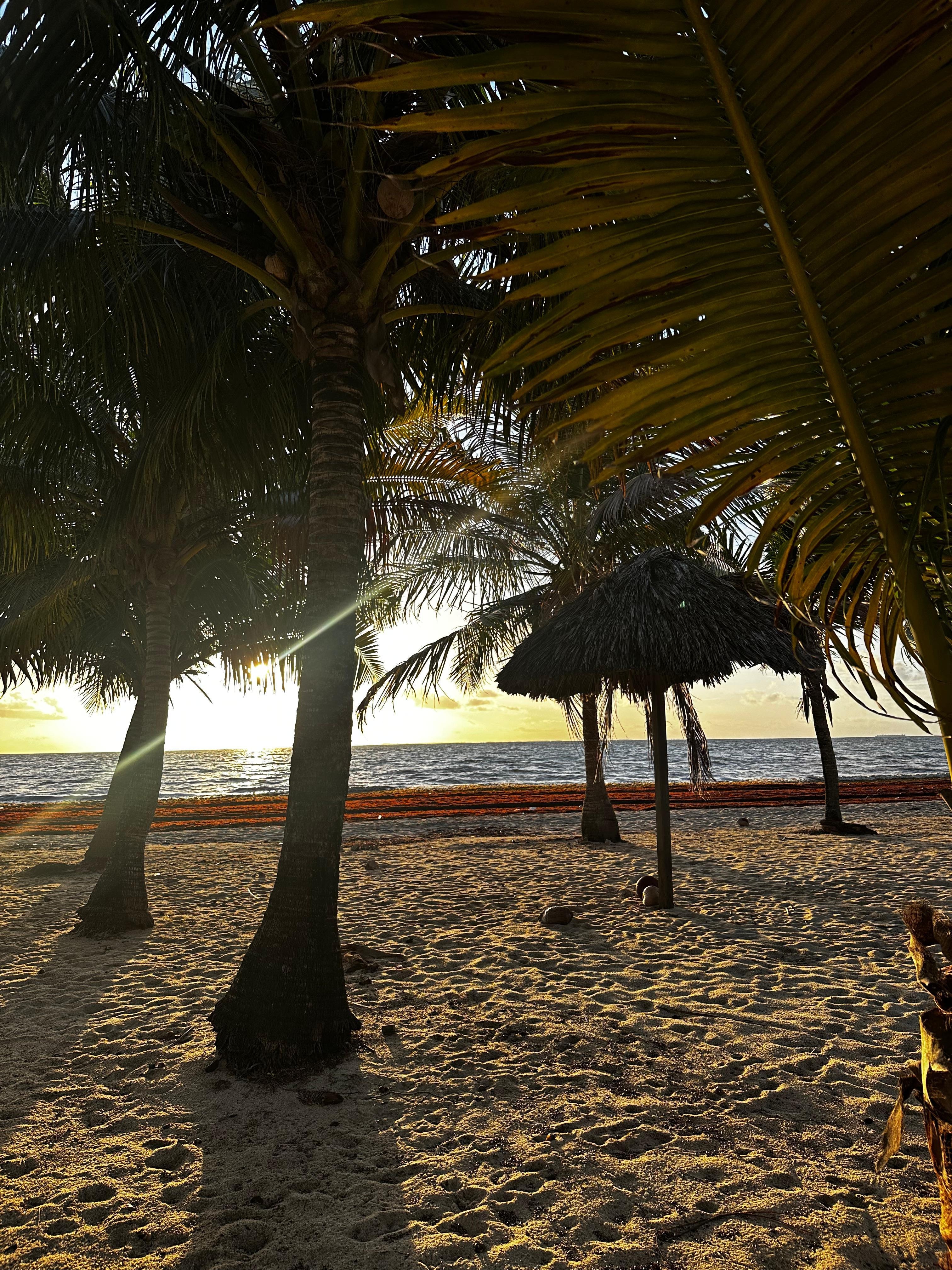 Sunrise view always spectacular 