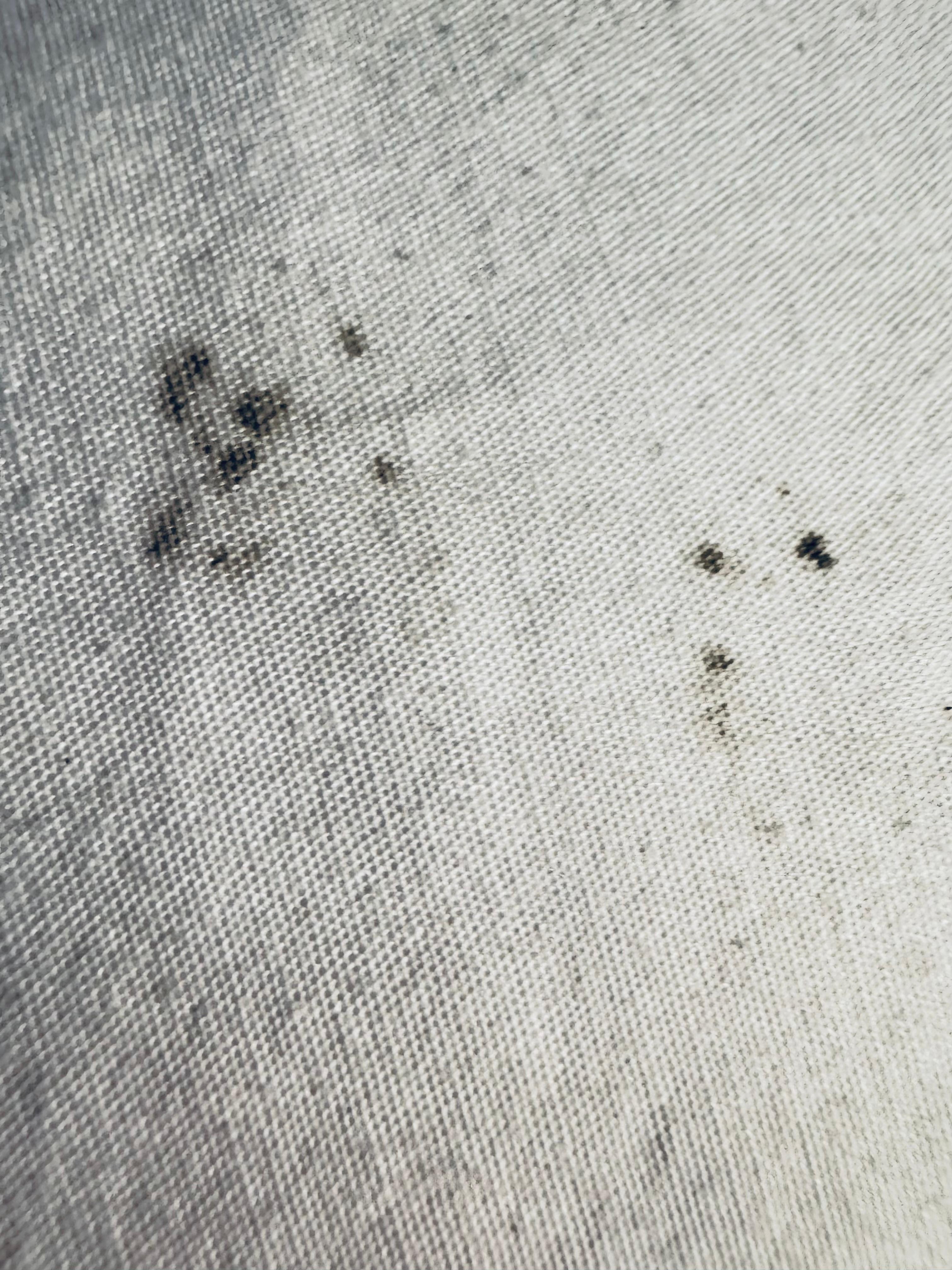 First 3 photos are mold.  I think.  