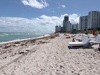 Zero maintenance on the beach southward.