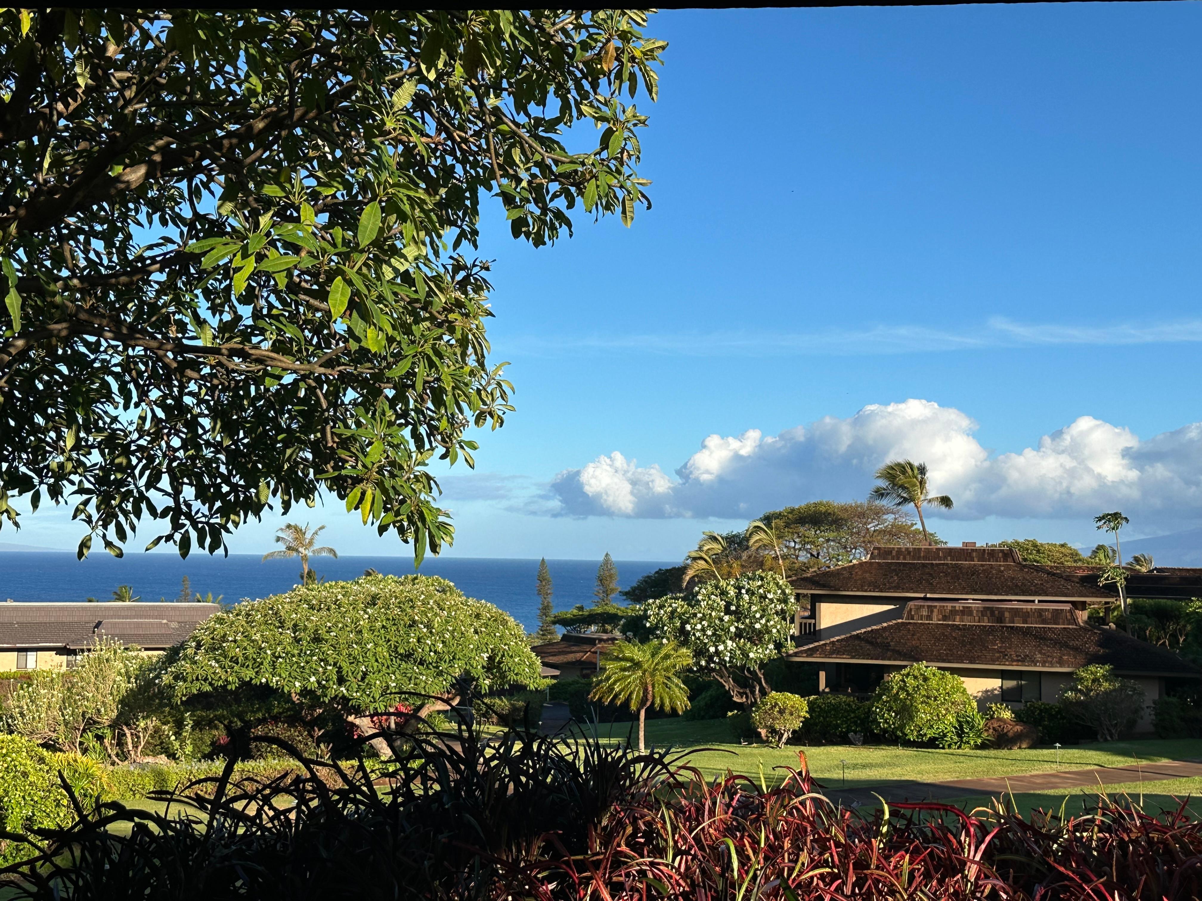 View from Lanai (balcony)
