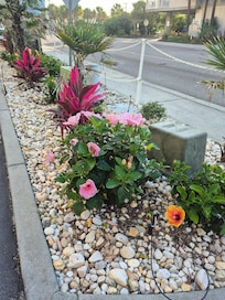 Lovely outside decor.