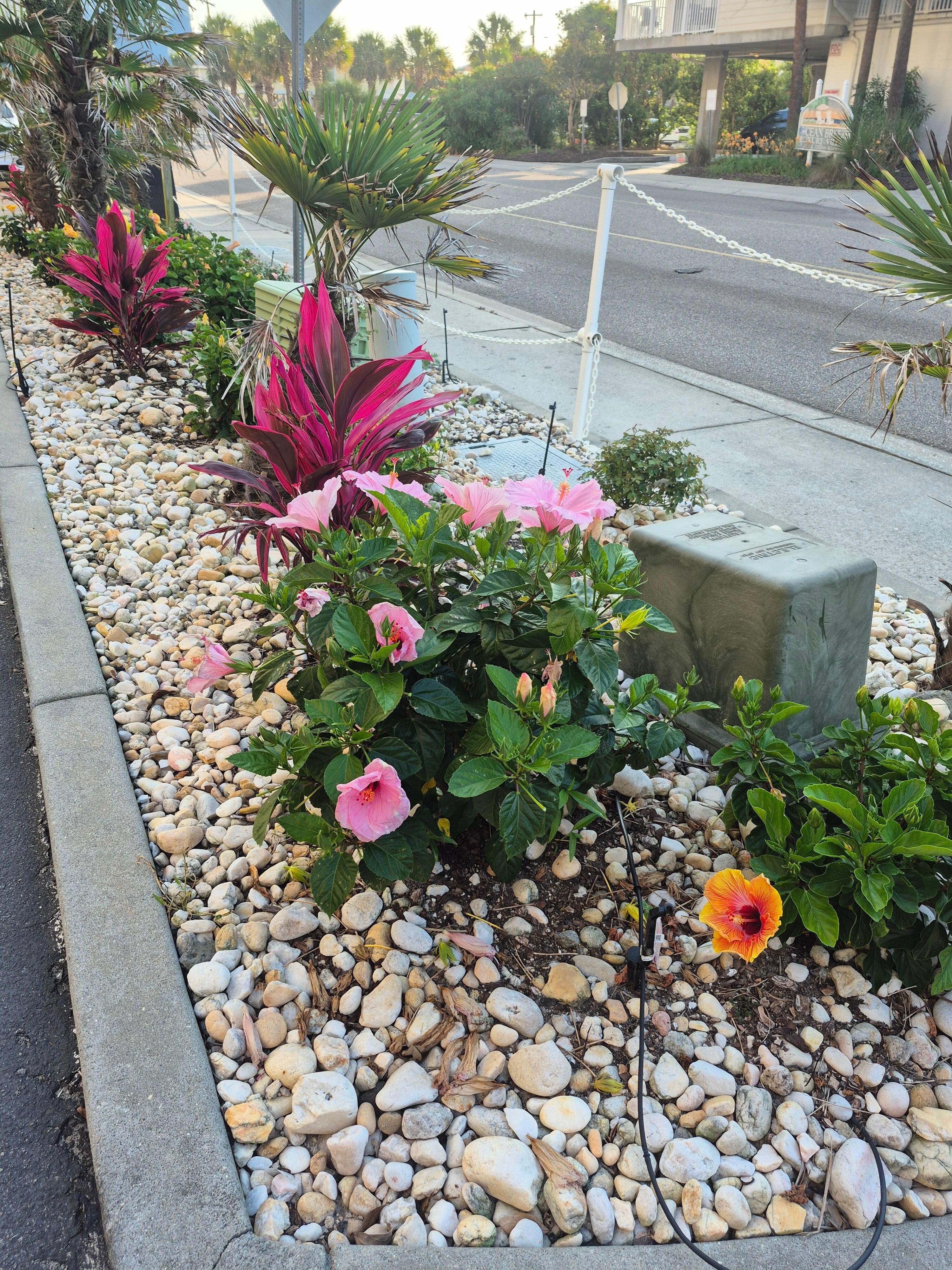 Lovely outside decor.