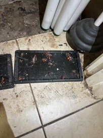 This speaks for itself.