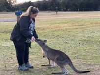 The local kangaroos