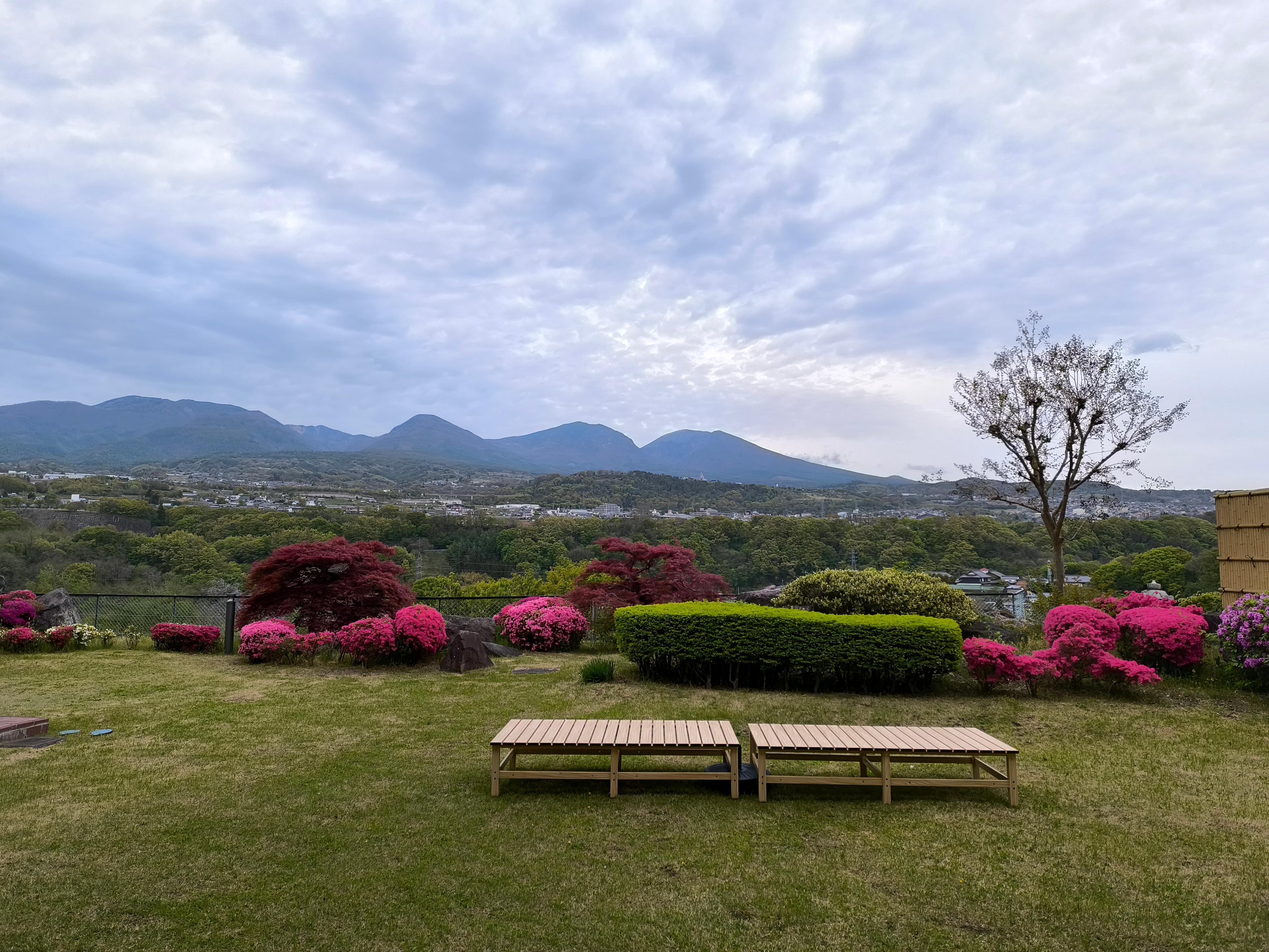 庭園