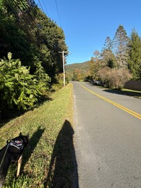 The neighborhood road was quiet and nice place to walk our dog.