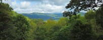 View from the deck