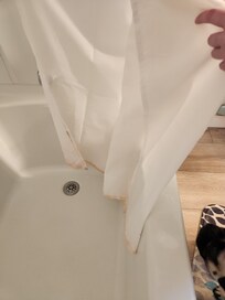 Shower curtain