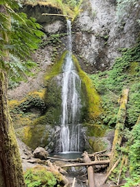 Marymere Falls at Lake Crescent