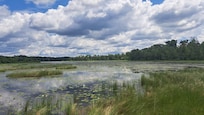 View from the dock