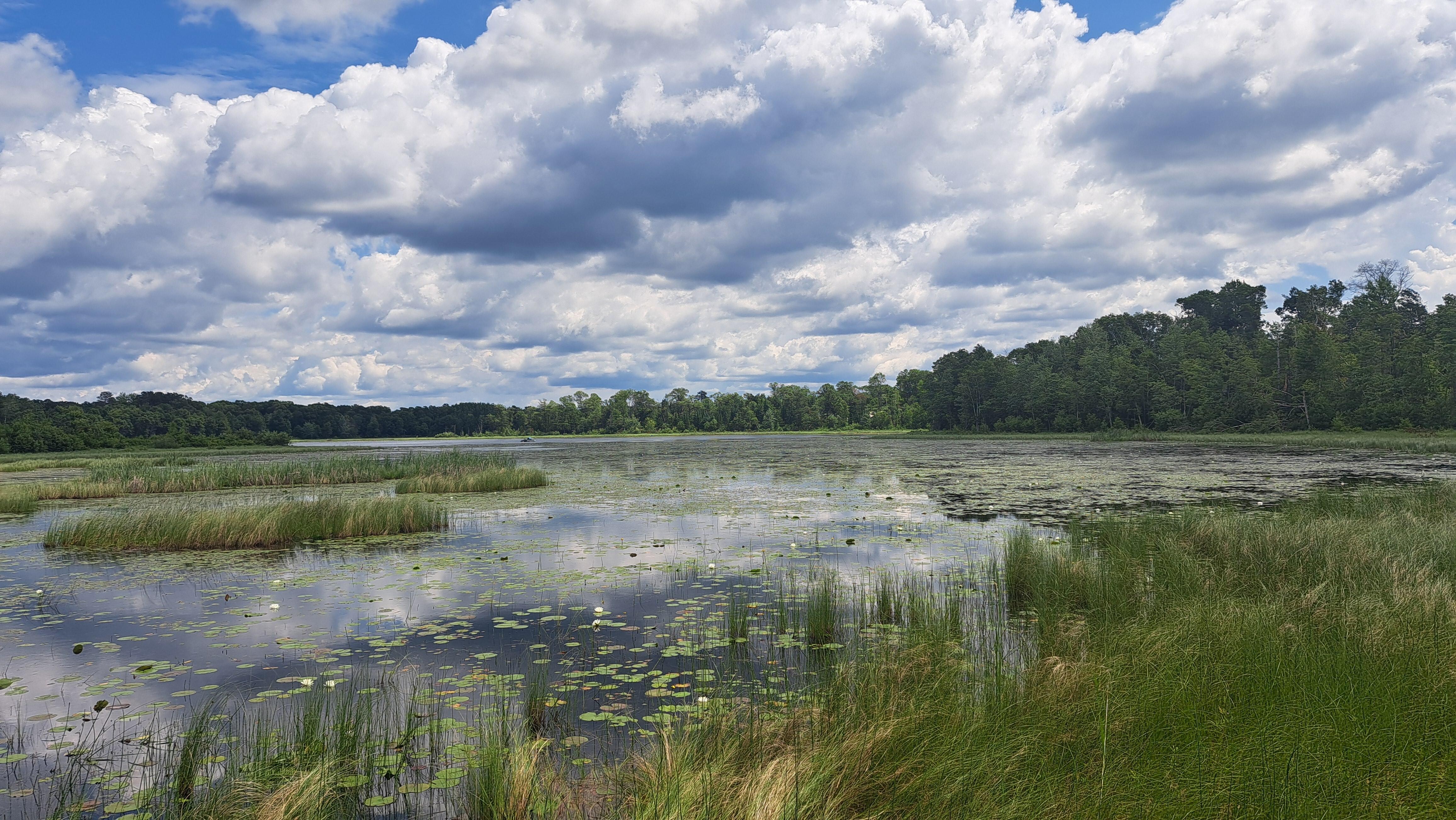 View from the dock