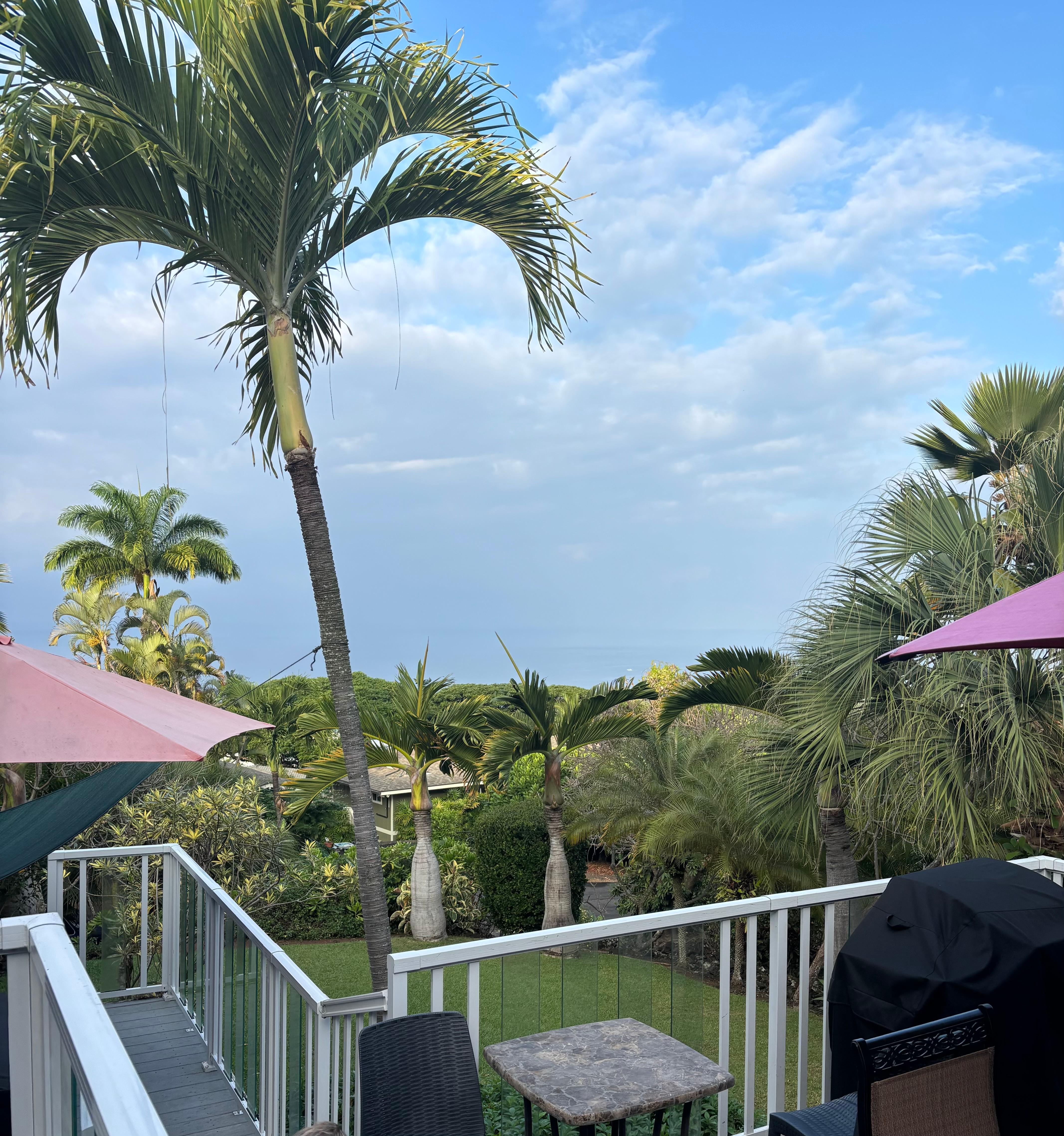 Front lanai in the morning. 