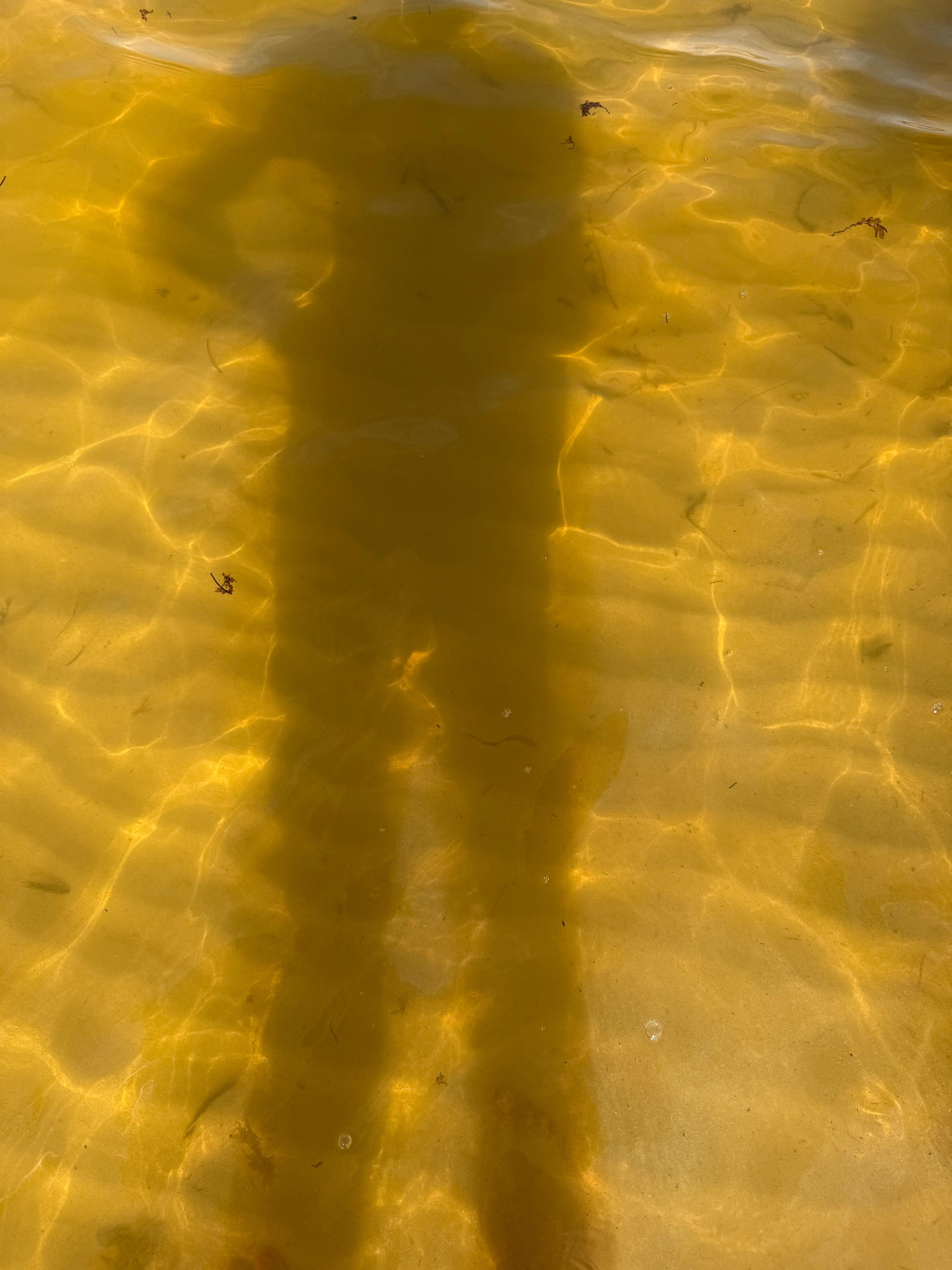 The seaweed is strong during this time cause a very horrible odor throughout the resort! 