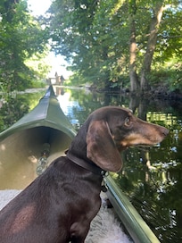 Mit Dackel auf der Havel