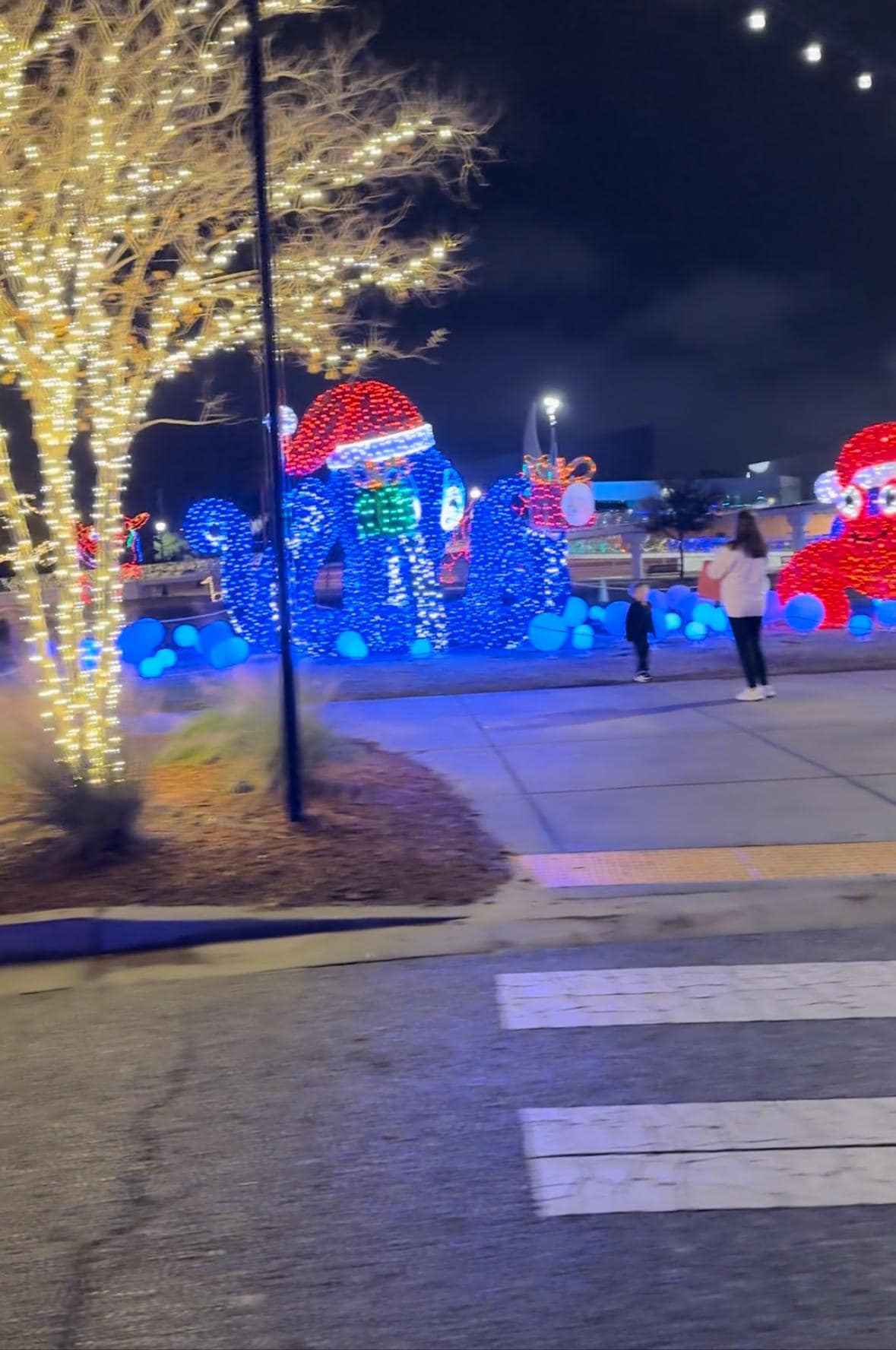 Gulfport Harbor lights at Christmas! Must see! Check it out if you’ve never been. 