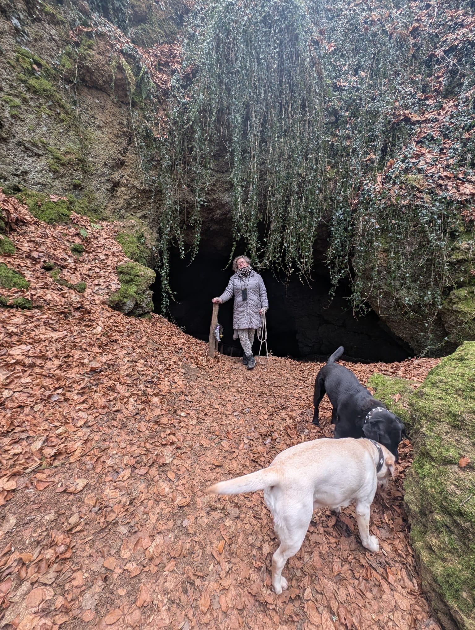 Eishöhlen & Feenpfad / Wichtelwald