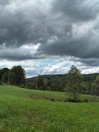 View from the porch off to the side