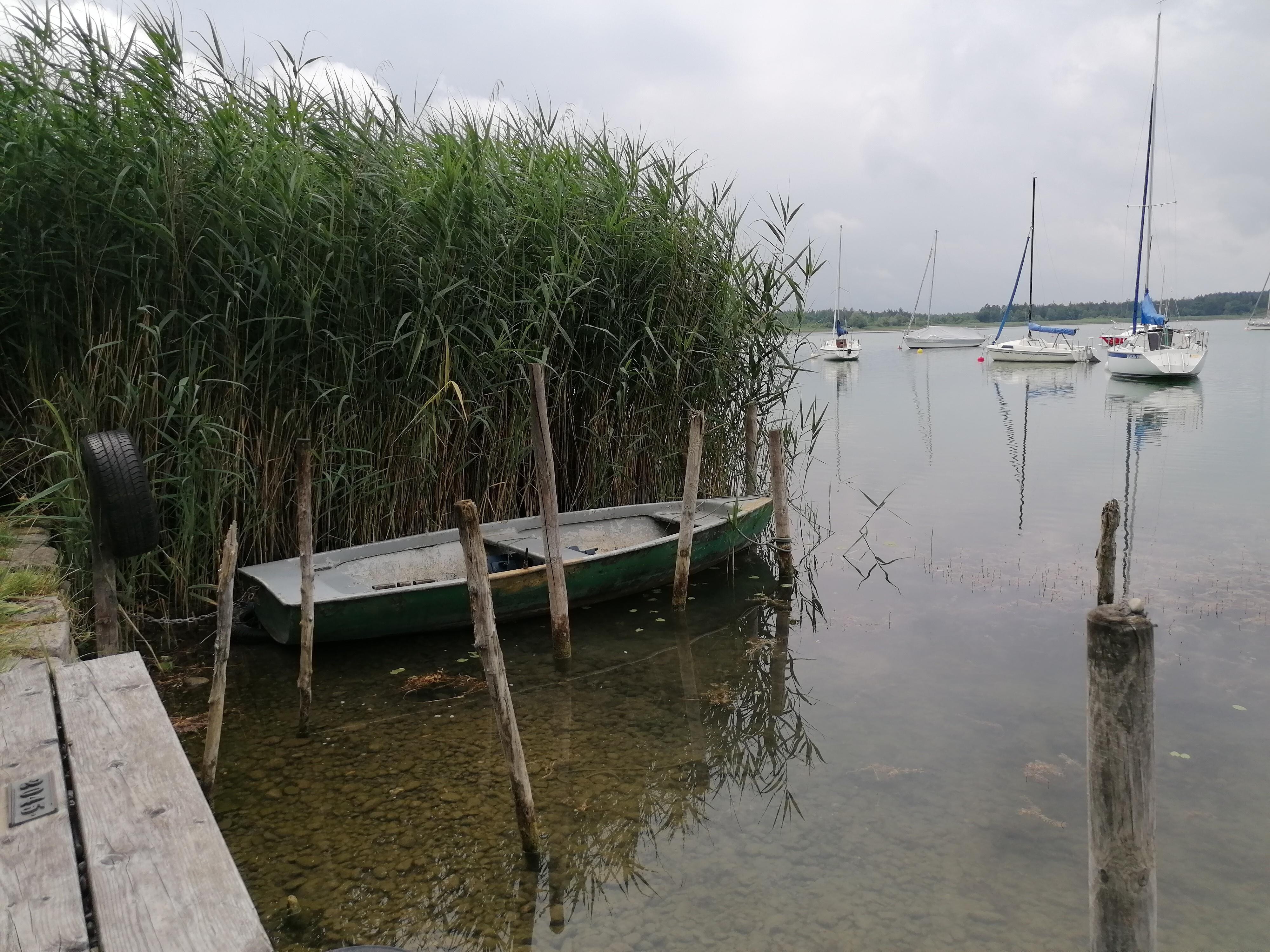 Simssee