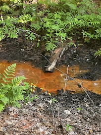 Gross creek draining into river close to beach