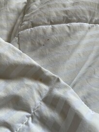 Dirty bed linen looks like they just put clean linen on top