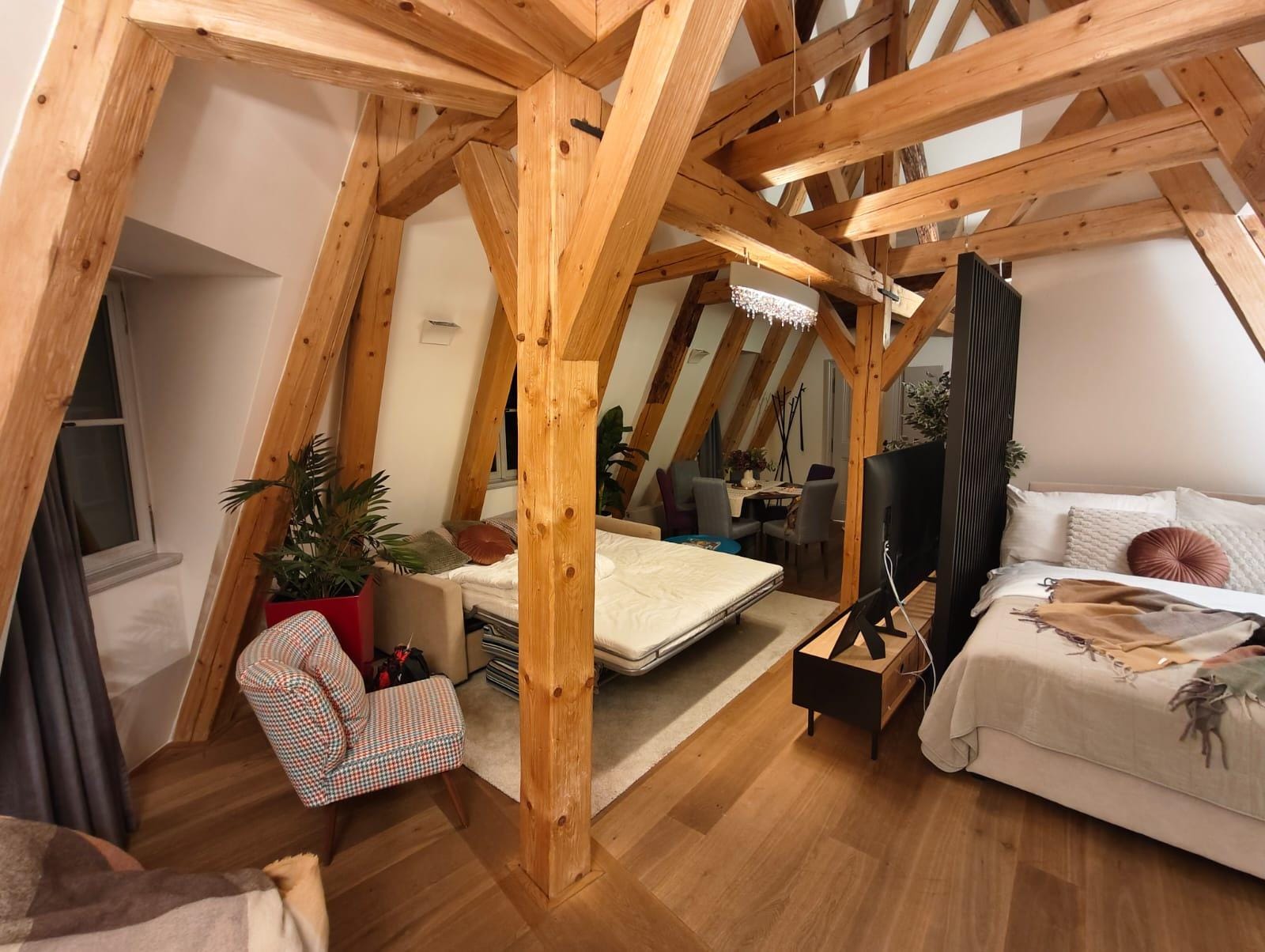 Living room with sofa bed and second bed