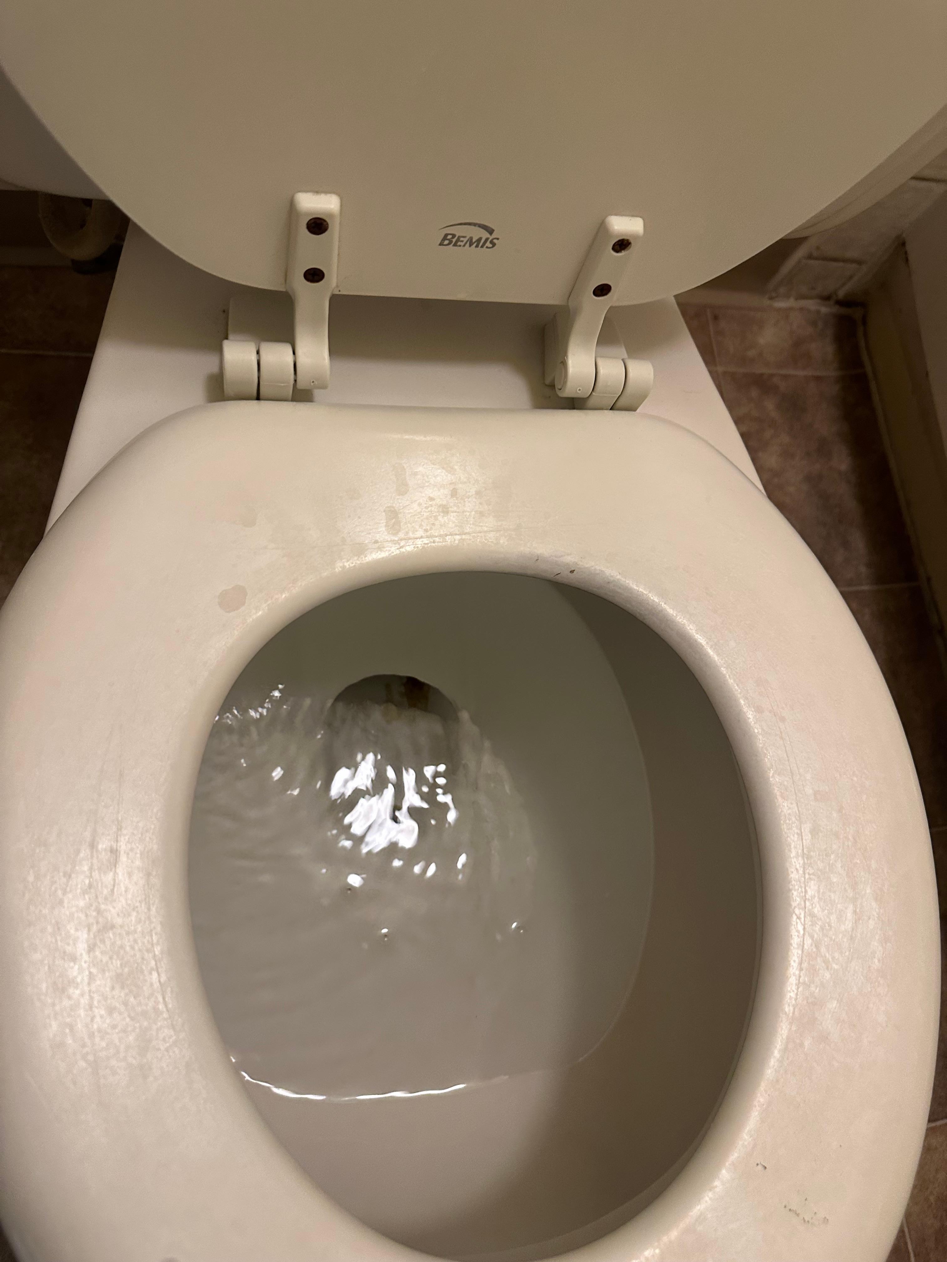 Dried pee spots on the toilet seat on arrival